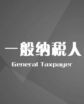 一般纳税人