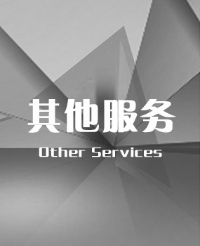 其他服务