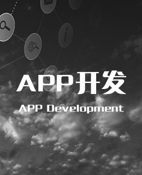 APP开发